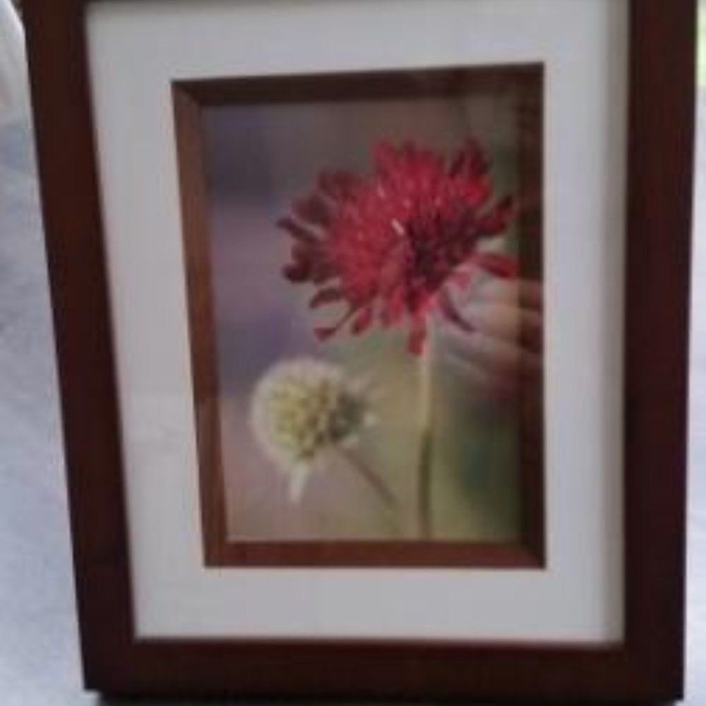 Picture in the frame